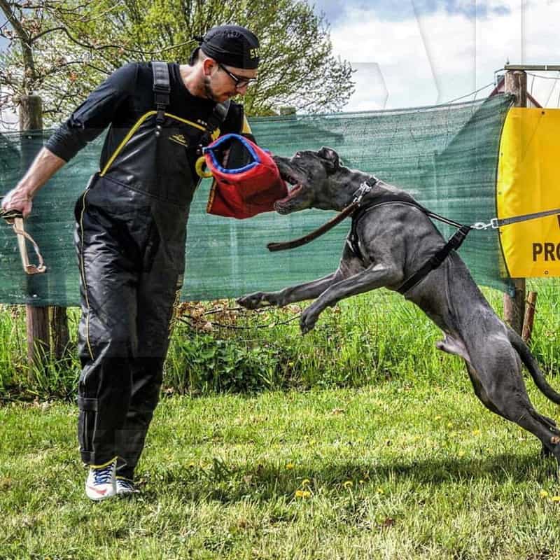 Рабочий рукав для дрессировки немецкого дога «For professional»